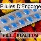 Engorge Pills 22